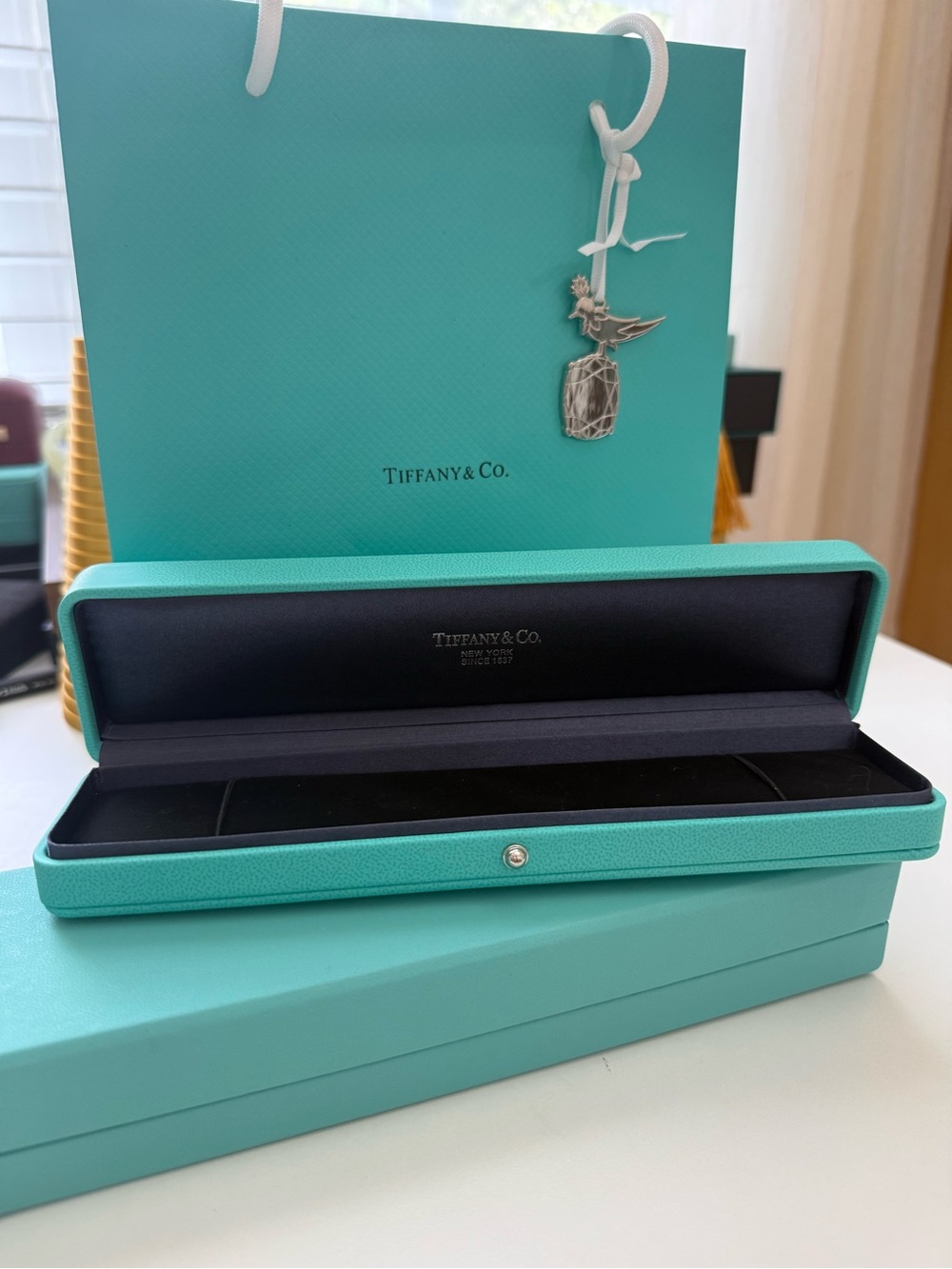 Auth Tiffany & Co. Bracelet Presentation Box Set with Bag and Charm